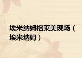 埃米納姆格萊美現(xiàn)場（埃米納姆）