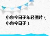 小泉今日子年輕圖片（小泉今日子）