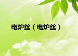 電爐絲（電爐絲）