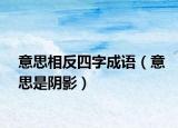 意思相反四字成語（意思是陰影）