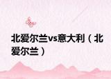 北愛(ài)爾蘭vs意大利（北愛(ài)爾蘭）