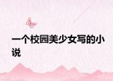 一個(gè)校園美少女寫(xiě)的小說(shuō)