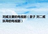 劉威主要的電視?。ㄆ拮?劉二威執(zhí)導的電視?。? /></span></a>
                        <h2><a  title=