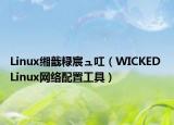 Linux緗戠粶宸ュ叿（WICKED Linux網(wǎng)絡配置工具）