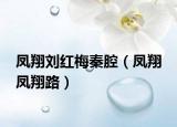 鳳翔劉紅梅秦腔（鳳翔 鳳翔路）