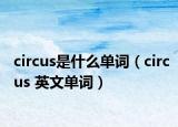 circus是什么單詞（circus 英文單詞）