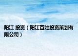 陽(yáng)江 投資（陽(yáng)江百姓投資策劃有限公司）