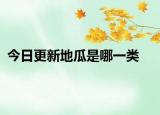今日更新地瓜是哪一類