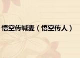 悟空傳喊麥（悟空傳人）