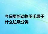 今日更新動物羽毛屬于什么垃圾分類