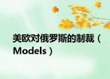 美歐對俄羅斯的制裁（Models）