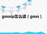 gossip怎么讀（goss）