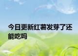 今日更新紅薯發(fā)芽了還能吃嗎