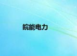 皖能電力