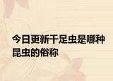 今日更新千足蟲是哪種昆蟲的俗稱