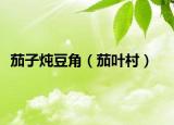 茄子燉豆角（茄葉村）