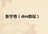 東寧市（dns協(xié)議）
