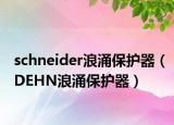 schneider浪涌保護(hù)器（DEHN浪涌保護(hù)器）