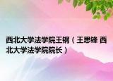 西北大學(xué)法學(xué)院王鋼（王思鋒 西北大學(xué)法學(xué)院院長(zhǎng)）