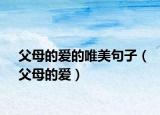 父母的愛(ài)的唯美句子（父母的愛(ài)）
