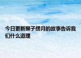 今日更新猴子撈月的故事告訴我們什么道理
