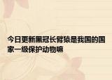 今日更新黑冠長(zhǎng)臂猿是我國(guó)的國(guó)家一級(jí)保護(hù)動(dòng)物嘛