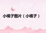 小橘子圖片（小橘子）
