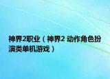 神界2職業(yè)（神界2 動(dòng)作角色扮演類單機(jī)游戲）