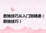 數(shù)獨技巧從入門到精通（數(shù)獨技巧）