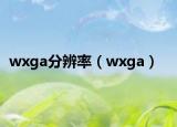 wxga分辨率（wxga）