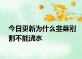 今日更新為什么韭菜剛割不能澆水