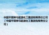 中國(guó)平煤神馬能源化工集團(tuán)有限責(zé)任公司（中國(guó)平煤神馬能源化工集團(tuán)有限責(zé)任公司）