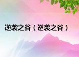 逆襲之谷（逆襲之谷）
