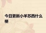 今日更新小羊蘇西什么梗