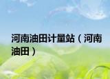 河南油田計(jì)量站（河南油田）