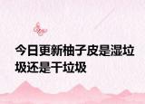 今日更新柚子皮是濕垃圾還是干垃圾