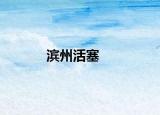 濱州活塞
