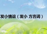 發(fā)小情誼（發(fā)小 方言詞）