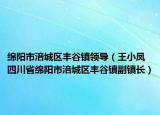 綿陽(yáng)市涪城區(qū)豐谷鎮(zhèn)領(lǐng)導(dǎo)（王小鳳 四川省綿陽(yáng)市涪城區(qū)豐谷鎮(zhèn)副鎮(zhèn)長(zhǎng)）