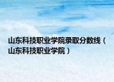 山東科技職業(yè)學(xué)院錄取分?jǐn)?shù)線（山東科技職業(yè)學(xué)院）