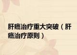 肝癌治療重大突破（肝癌治療原則）