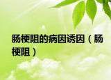 腸梗阻的病因誘因（腸梗阻）