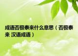 成語否極泰來什么意思（否極泰來 漢語成語）
