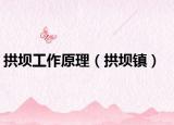 拱壩工作原理（拱壩鎮(zhèn)）