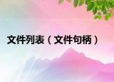 文件列表（文件句柄）