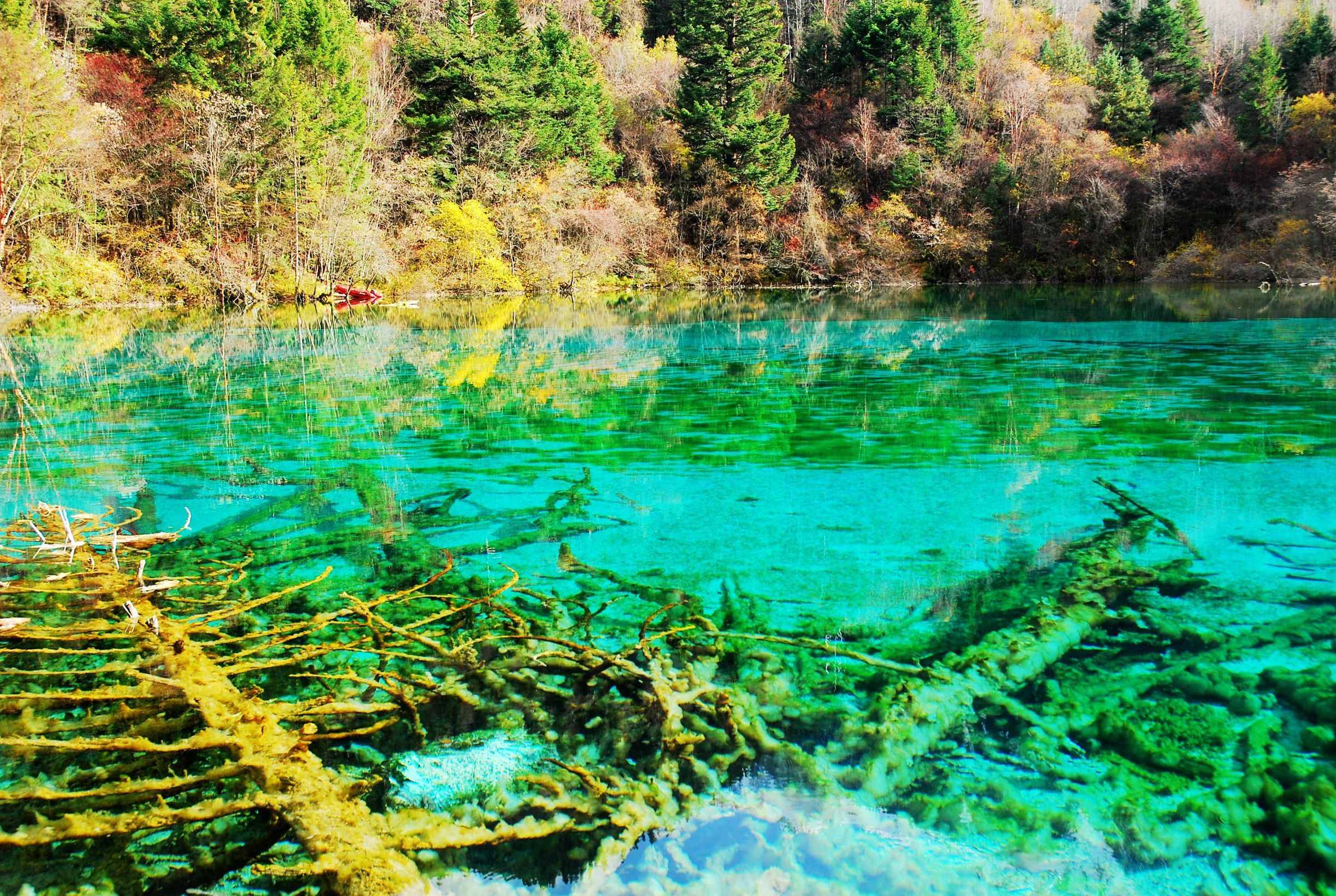 什么時(shí)候去九寨溝旅游最好？帶你輕松了解九寨溝四季美景！