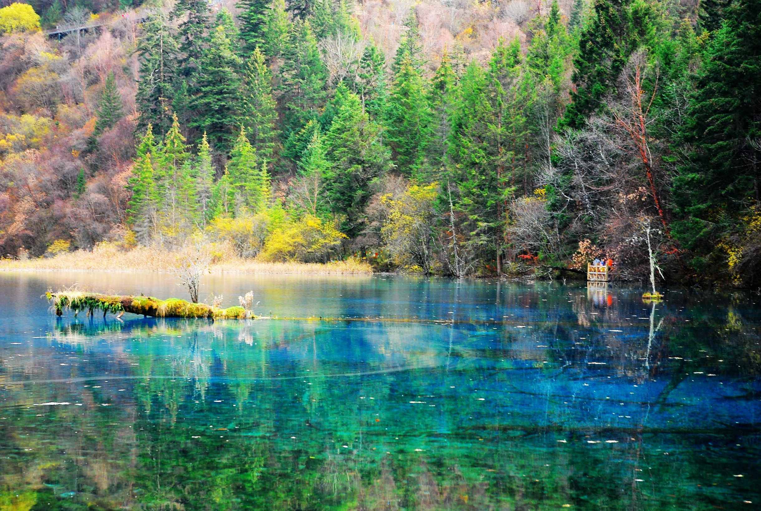 什么時(shí)候去九寨溝旅游最好？帶你輕松了解九寨溝四季美景！