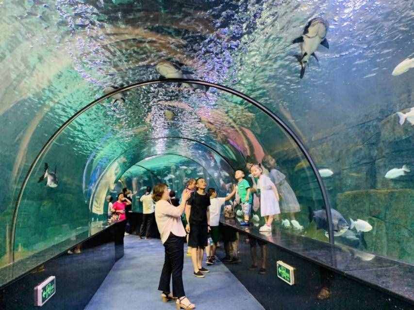 沒有對比就沒有傷害！西安曲江海洋極地公園依然獨(dú)大