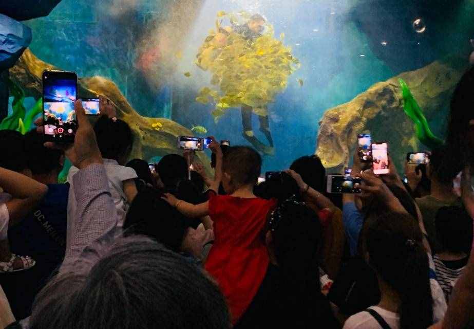 沒有對比就沒有傷害！西安曲江海洋極地公園依然獨(dú)大