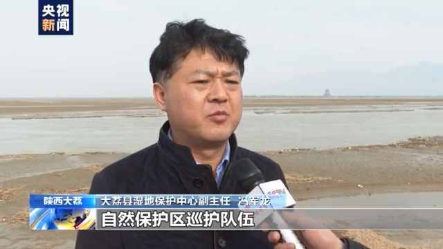 白鷺、白天鵝、紅嘴鷗……又到候鳥(niǎo)遷徙季 來(lái)看可愛(ài)的鳥(niǎo)兒們